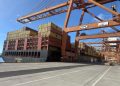 Tenerife, nodo para el capital global: IFM Investors y Aleatica optimizan la rentabilidad de TCT