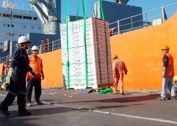 88% del empleo portuario en Canarias, bajo enchufe de los estibadores