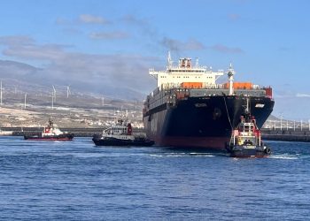 Agilidad con buque de Hapag Lloyd en Granadilla salva las exportaciones sudafricanas de uvas