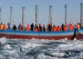 Crisis en Irán en Canarias: El precio del pescado y marisco mayorista se dispara