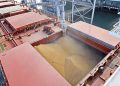 Radiografía del REA 2026 Canarias: 600 millones de kilos para el clan de las RUP vía puertos