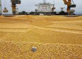 Euronext: La geopolítica hunde los precios del grano que viene a los puertos de Canarias