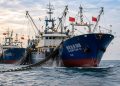 El efecto en Canarias por la presión de la flota de China en la pesca de Senegal