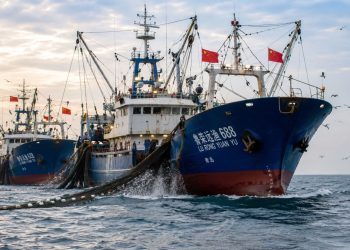 El efecto en Canarias por la presión de la flota de China en la pesca de Senegal