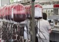 El invisible negocio de la sangre en los puertos de Canarias