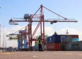 El tráfico de tripas y estómagos animales desde Rusia a Marruecos por puertos de Las Palmas