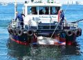 Esponja del Teide ampliará servicios de Marpol en la Dársena Pesquera de Santa Cruz de Tenerife