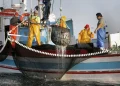 Pesca: El choco canario y la lapa negra ganan entidad frente a los sucedáneos de importación