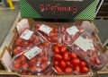 79,4 dólares por tonelada: Marruecos subvenciona las exportaciones de tomate más allá de la UE y Reino Unido
