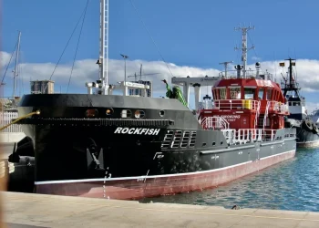 Bunkering: Canarias y la costa de West Africa sufren demoras críticas en HSFO y VLSFO