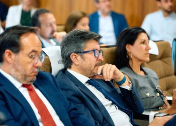 Sentencia del Supremo sobre el Puerto de Las Palmas: ¡Las autoridades portuarias quedan fuera del control orgánico estatal!