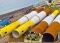 Reparaciones navales en Canarias: Zamakona, lista para absorber el cuello de botella global del biofouling en petroleros
