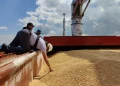 Bruselas admite que el repunte de los futuros de grano, que presiona suministro hacia Canarias y la costa africana