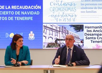 El consejo de Puertos de Tenerife se repartió más de 100.000 euros en dietas en 2025