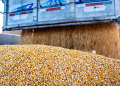 Cereales importados en Canarias: Se disparan los costes en Francia aptos para las ayudas del Poseican