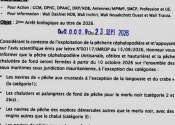 Excelente Mauritania: Paraliza la flota de pulpo antes de negociar con la UE y enciende las alarmas en Galicia