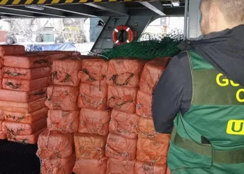 El gran trabajo de inteligencia de la UCO para cerrar el paso a la cocaína cerca de Canarias