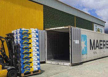 Baleària exprime los activos de Armas y ofrece al sector platanero de Canarias 7.300 metros de carga